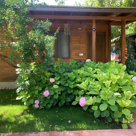 Adabella * Çıralı