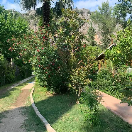 Πανσιόν Adabella *