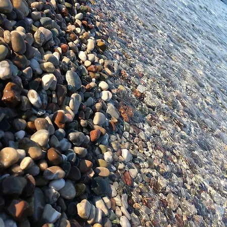 Adabella * Çıralı