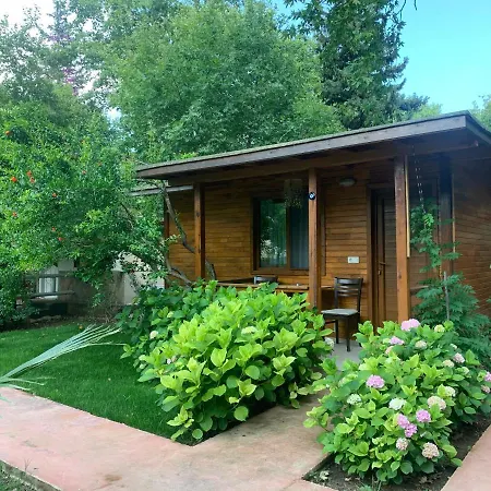 Adabella * Çıralı