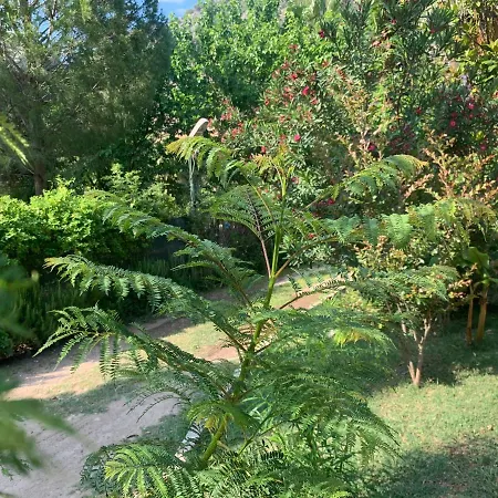 Adabella Pensión Çıralı