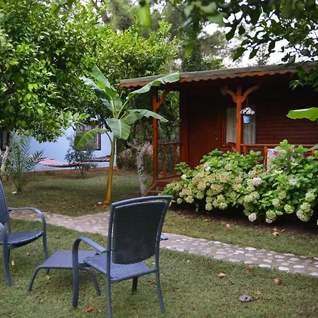 Casa de hóspedes Adabella Çıralı